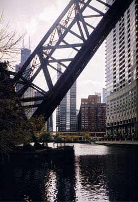 Chicago River View